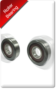 Roller Bearing